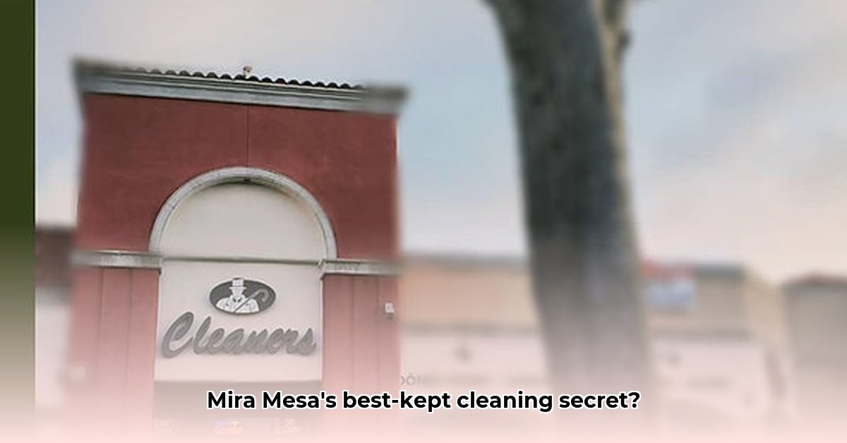 excellent-cleaners-of-mira-mesa